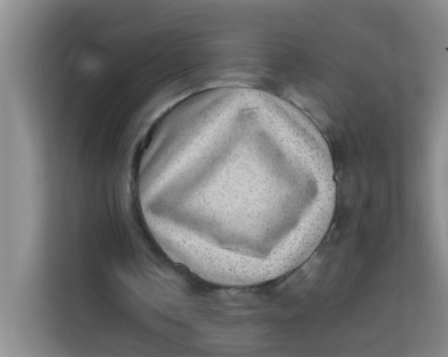 X0000113640338200910091541