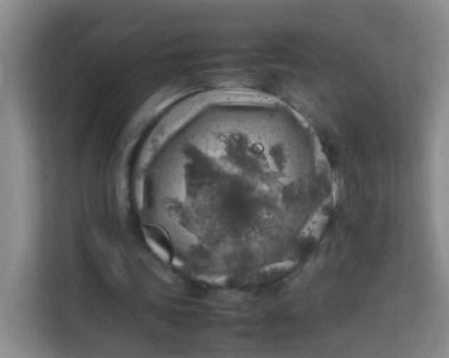 X0000113640339200910091541