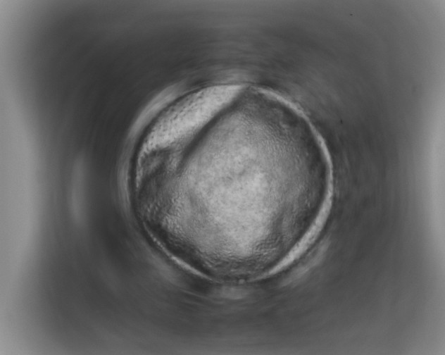 X0000113640341200910091541