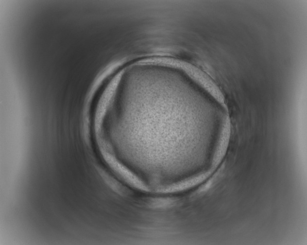 X0000113640342200910091541