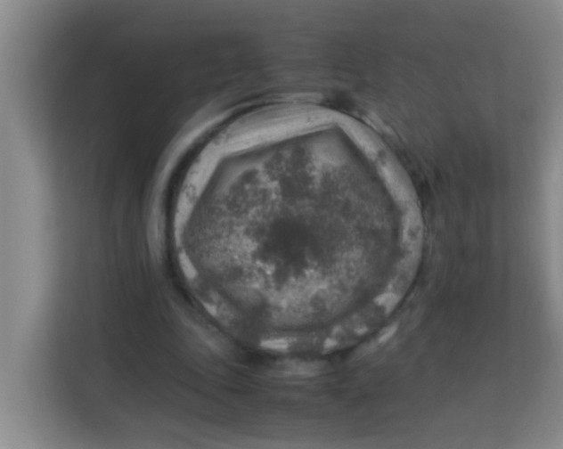 X0000113640343200910091541