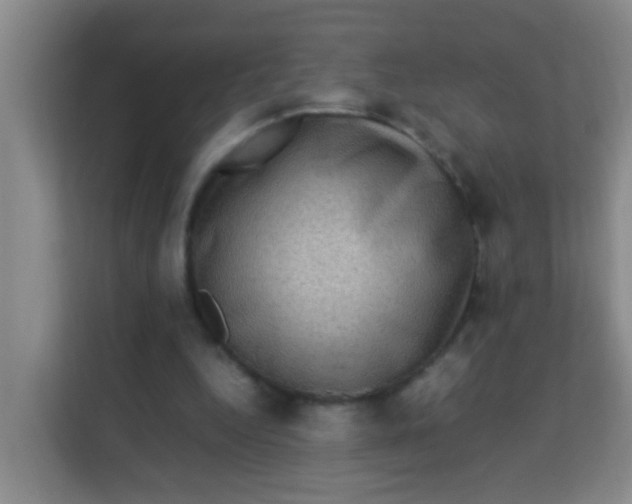 X0000113640344200910091541