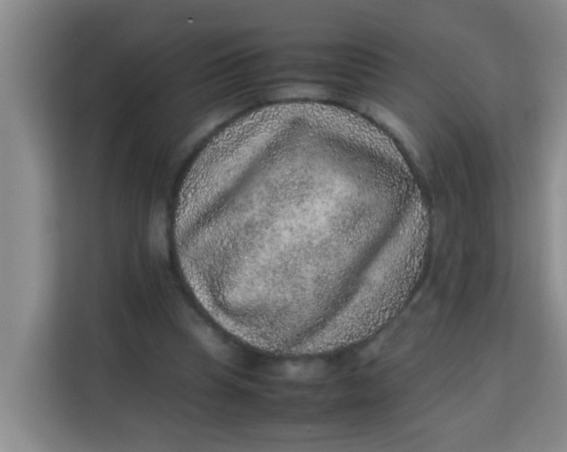 X0000113640345200910091541