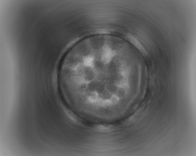 X0000113640346200910091541