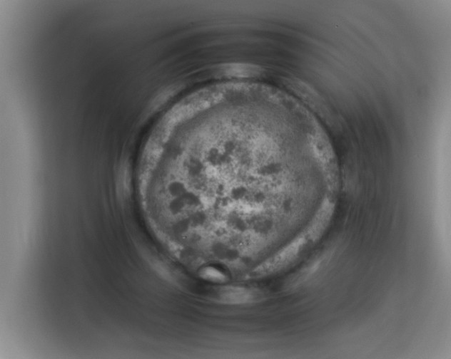 X0000113640347200910091541