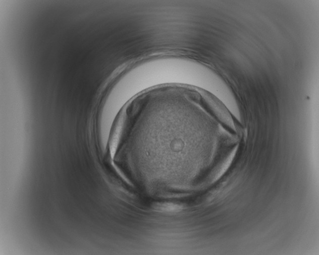 X0000113640348200910091541