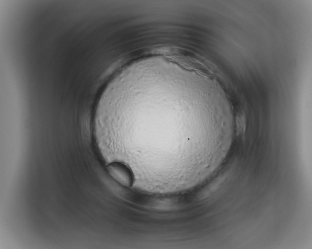 X0000113640349200910091541