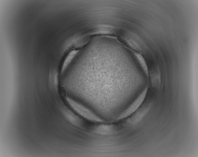 X0000113640350200910091541