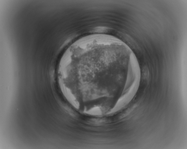 X0000113640351200910091541