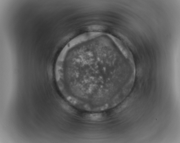 X0000113640353200910091541