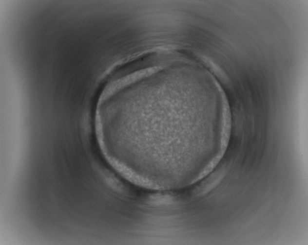 X0000113640354200910091541