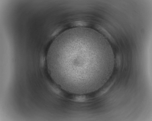 X0000113640355200910091541