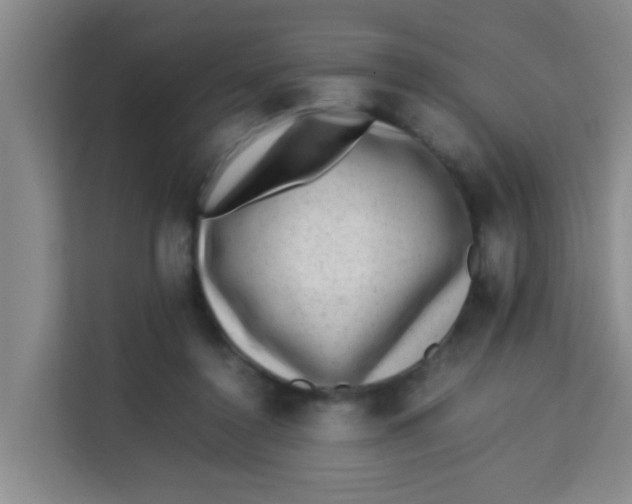 X0000113640356200910091541