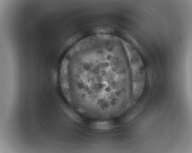 X0000113640357200910091541