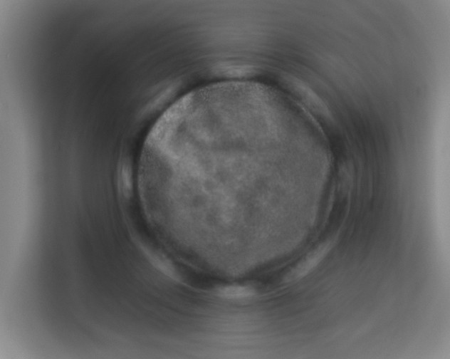 X0000113640358200910091541