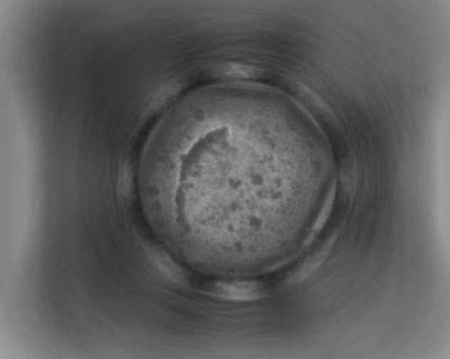 X0000113640359200910091541