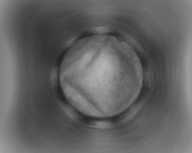 X0000113640360200910091541