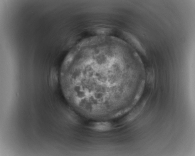 X0000113640363200910091541