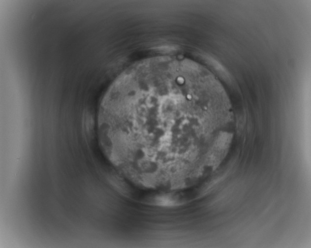 X0000113640365200910091541