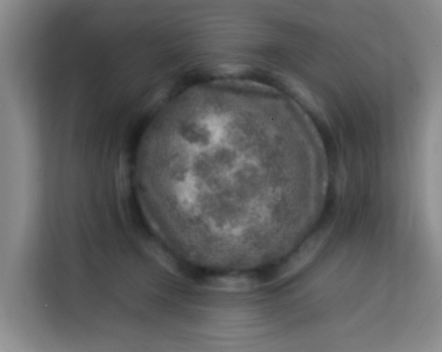 X0000113640366200910091541