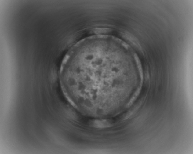 X0000113640367200910091541