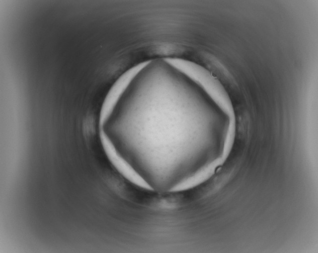 X0000113640368200910091541