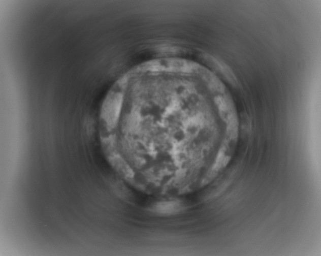 X0000113640369200910091541