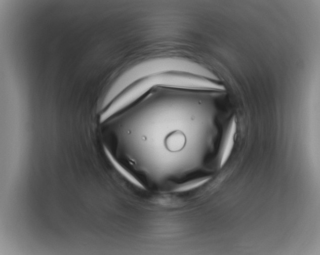 X0000113640372200910091541