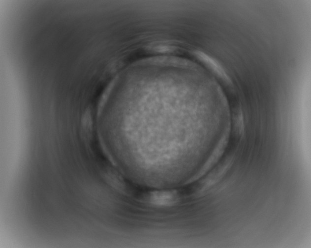 X0000113640373200910091541