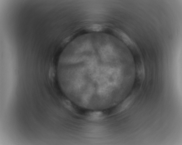 X0000113640374200910091541