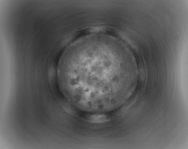 X0000113640375200910091541