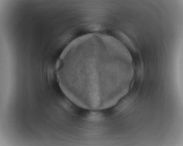 X0000113640376200910091541