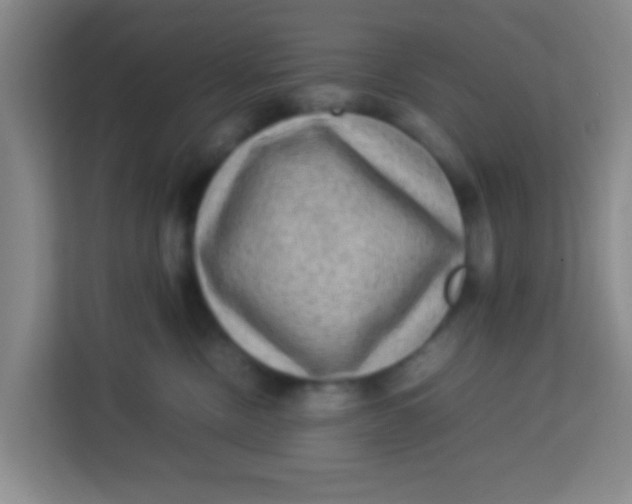 X0000113640378200910091541