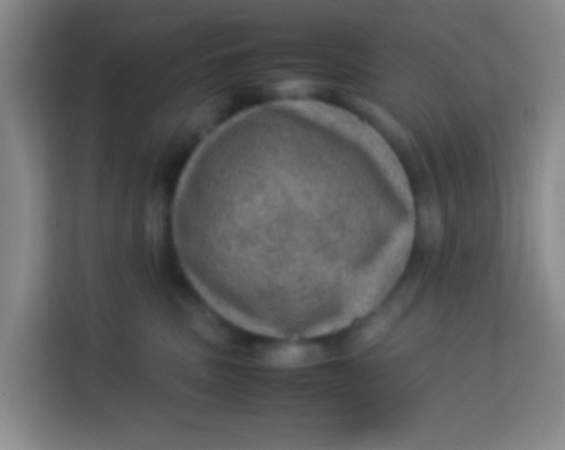 X0000113640379200910091541