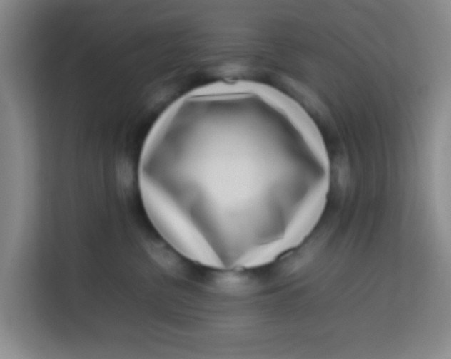 X0000113640380200910091541