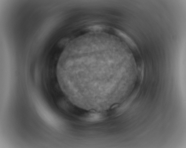 X0000113640381200910091541