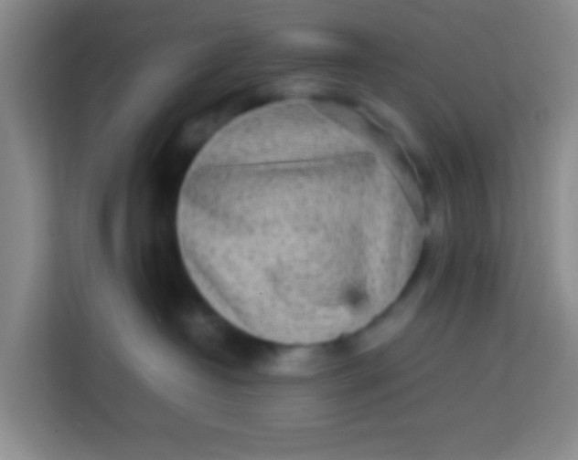 X0000113640382200910091541