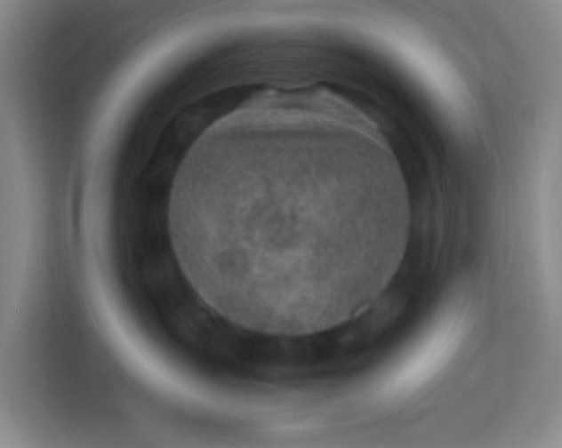 X0000113640383200910091541