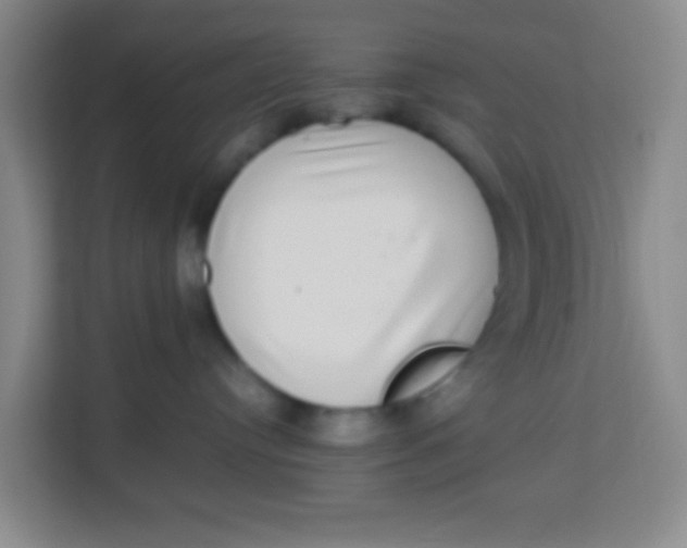 X0000113640384200910091542