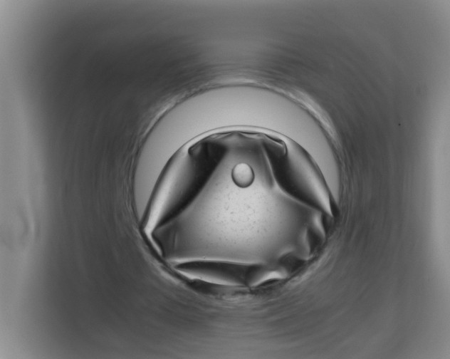 X0000113640385200910091541