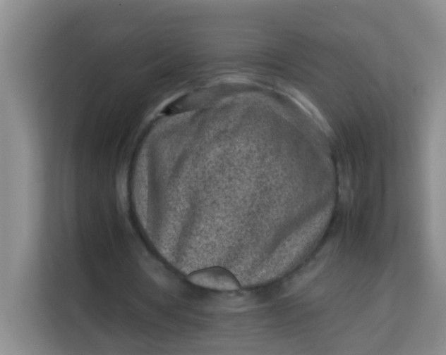 X0000113640386200910091541