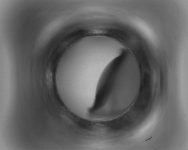 X0000113640387200910091541