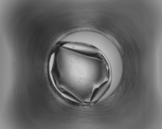 X0000113640389200910091541