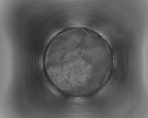 X0000113640390200910091541