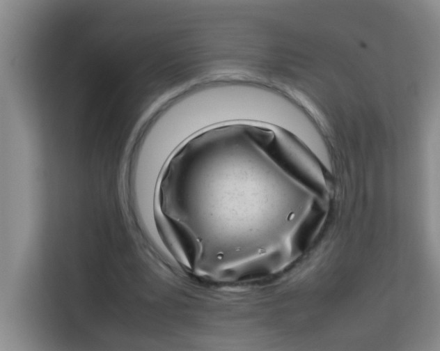 X0000113640391200910091541