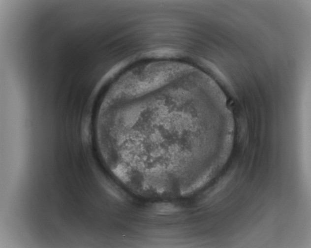 X0000113640392200910091541