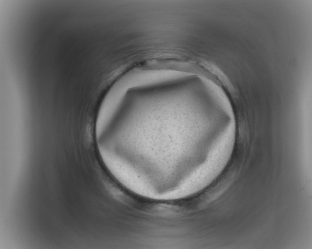 X0000113640393200910091541