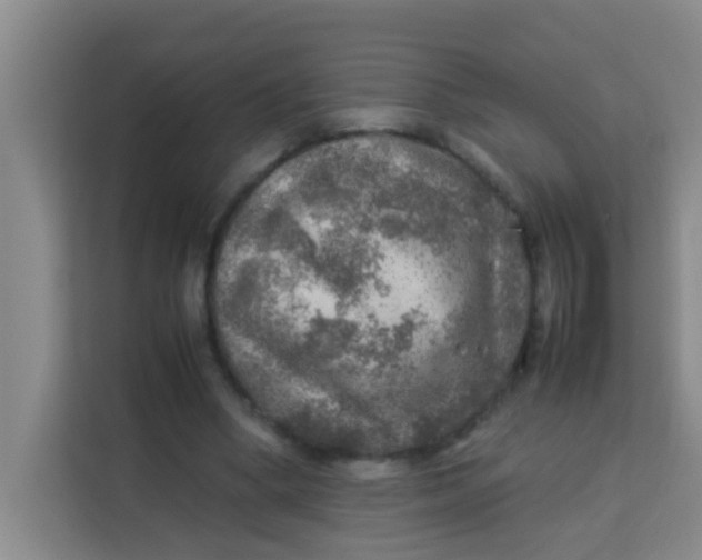 X0000113640394200910091541