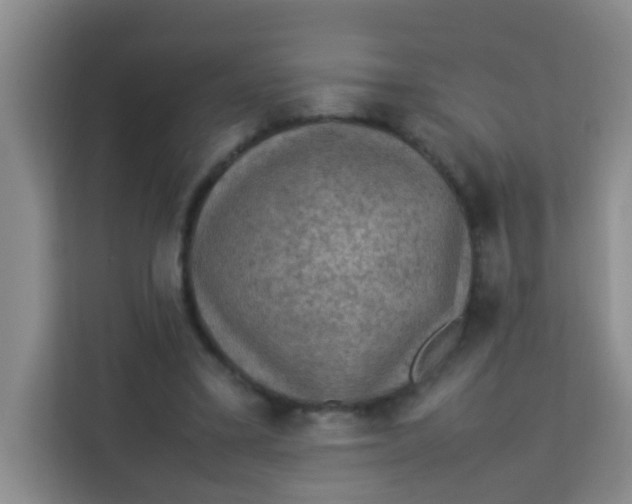 X0000113640395200910091541