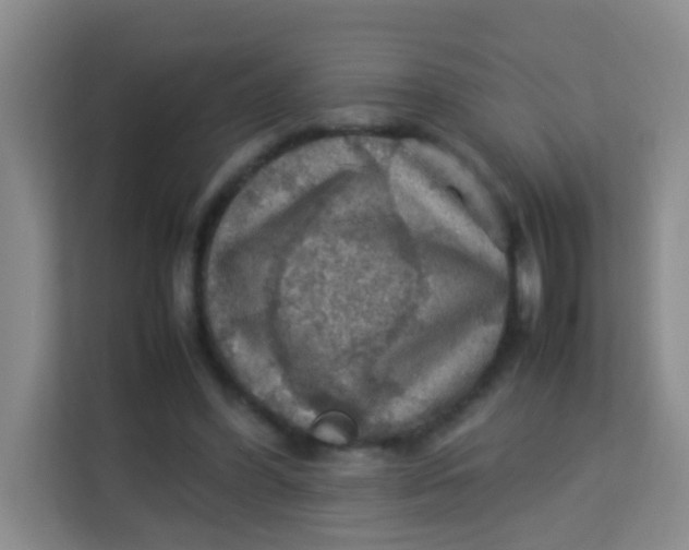 X0000113640396200910091541